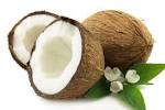 coconut mct oil