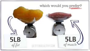 5-lbs-of-muscle-vs-5-lbs-of-fat