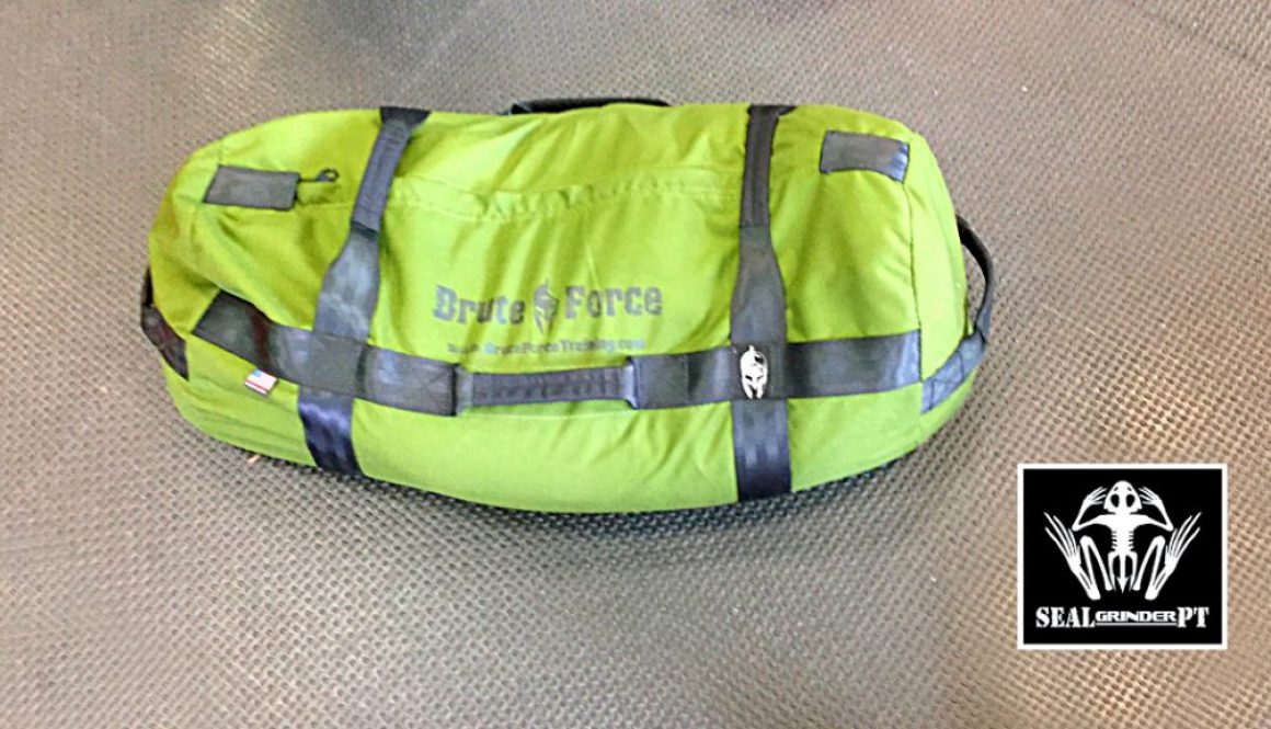 Brute Force Sandbag Review