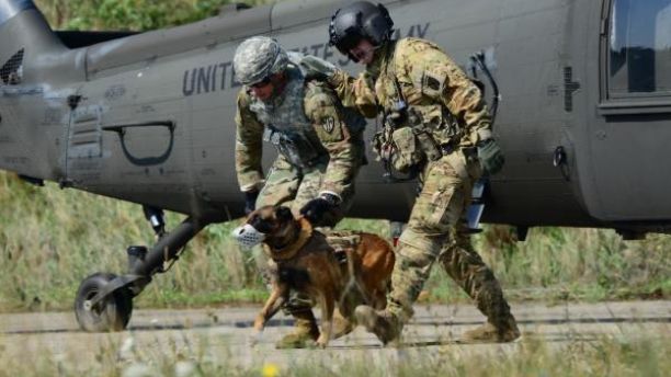 Featured image for “Brave Ranger Dogs Get New Advanced Tactical Gear for Special Operations”